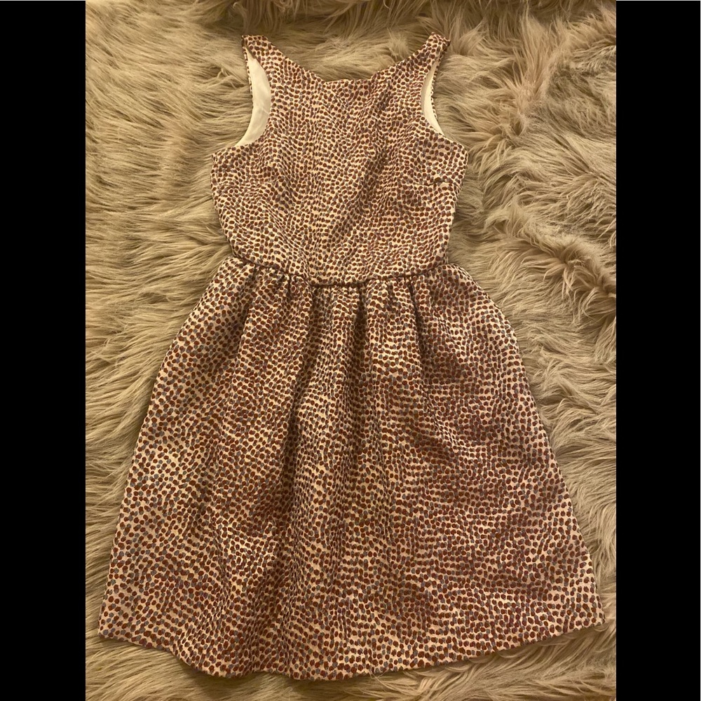 Like new Zara fit and flare dress in burnt orange and blue print